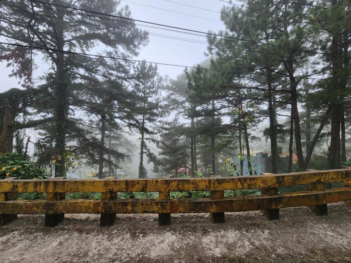 バギオBaguio Hillside Havenアパートメント エクステリア 写真
